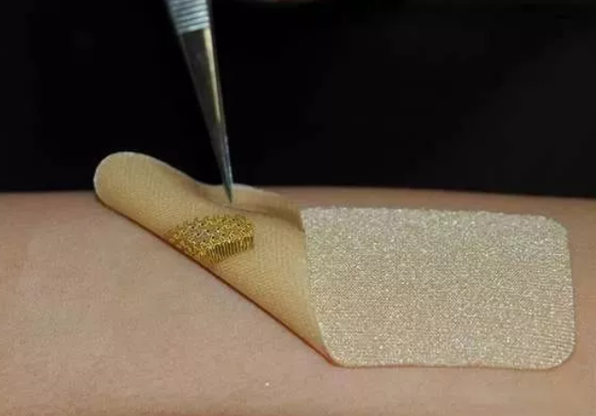 基于微流控技術(shù)的新型生物傳感器可用于實(shí)時(shí)檢測(cè)病原菌 基于微流控技術(shù)的新型生物傳感器可用于實(shí)時(shí)檢測(cè)病原菌