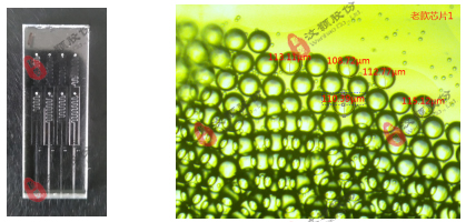 O/W水包油液滴玻璃芯片 O/W水包油液滴玻璃芯片