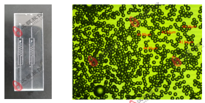 W/O油包水液滴玻璃芯片 W/O油包水液滴玻璃芯片