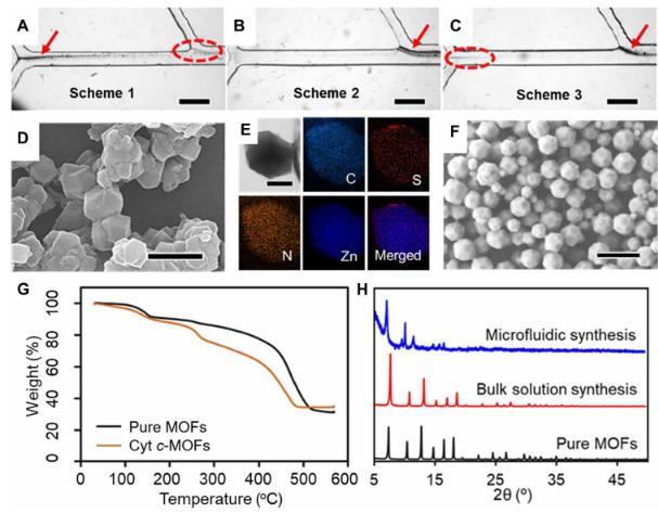 微流體合成Cyt c-MOF復(fù)合物的、結(jié)構(gòu)、形貌等示意圖
