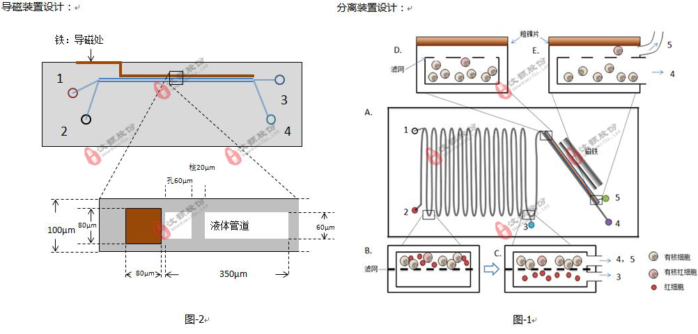 基于微流控平臺的有核紅細(xì)胞分析系統(tǒng)委托開發(fā) 基于微流控平臺的有核紅細(xì)胞分析系統(tǒng)委托開發(fā)