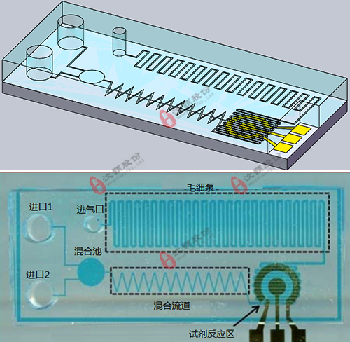 基于電化學(xué)檢測的微流控芯片委托開發(fā) 基于電化學(xué)檢測的微流控芯片委托開發(fā)