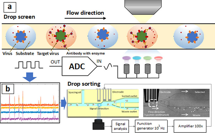 用于呼吸道病毒檢測(cè)的微流體樣品制備