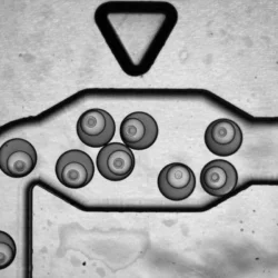 1670824567721591.png 圖片4.png