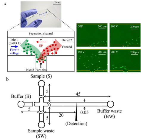 1705973055759041.png 圖片2.png