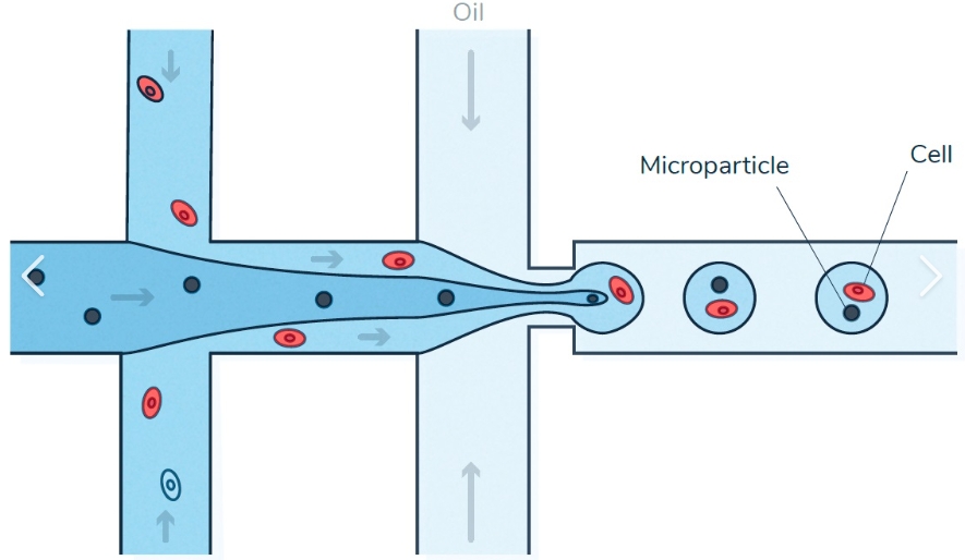 1721785560408852.png 1721785560408852.png