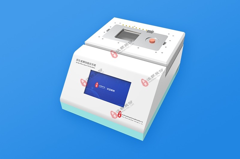 1741139891410481.png 1741139891410481.png