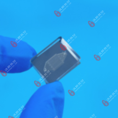 1751423417598993.jpg 20240919PDMS+硅片-徐紅梅.jpg