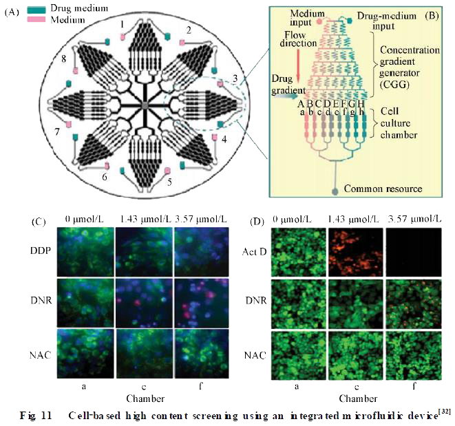 微流控芯片在模式生物水平化學(xué)研究技術(shù) 微流控芯片在模式生物水平化學(xué)研究技術(shù)
