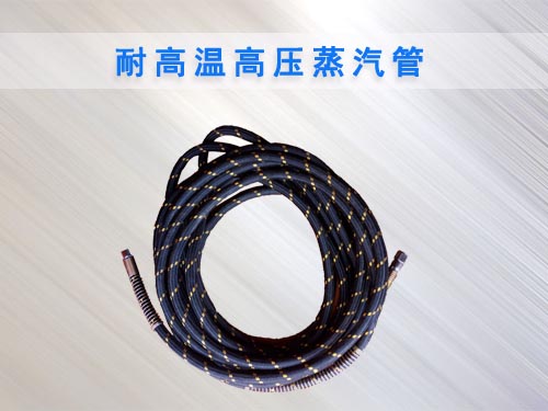 蒸汽洗車機專用蒸汽管 蒸汽洗車機專用蒸汽管
